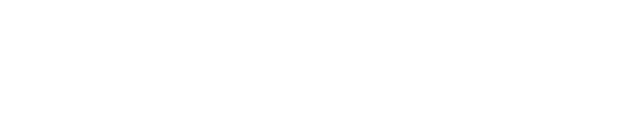 VestPi
